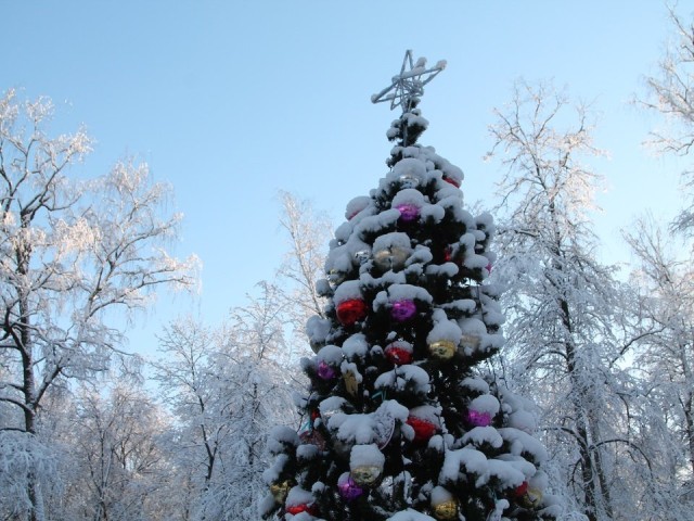 Одинцовские парки зовут на «Елки», йогу и сказочные приключения