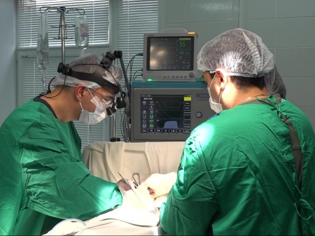 Сотни установленных стентов и кардиостимуляторов: сосудистый центр в Дубне подвел итоги года