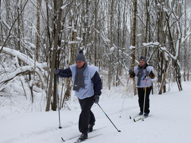 Лыжня с настроением: в Талицком лесу провели спортивное мероприятие для участников «Активного долголетия»