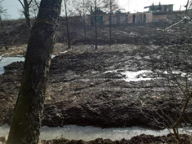 Проход к реке — не роскошь: как Минэкологии отстояло право жителей на берег Юшунки