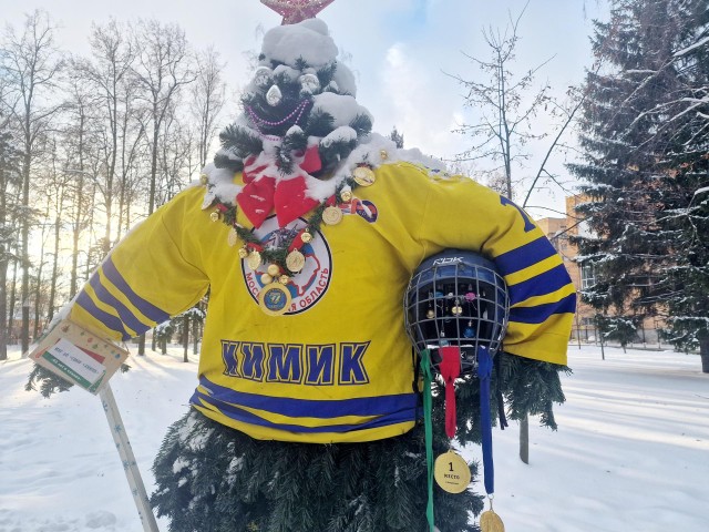 Хоккеист и огненный конь: в Воскресенске голосуют за самые необычные елки