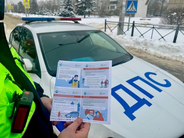 Воскресенским школьникам объяснили, как не попасть в дорожные ловушки зимой