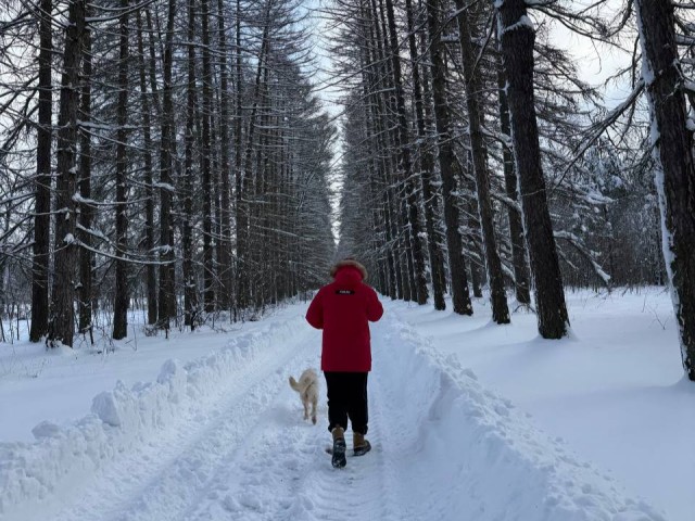 Почувствовать дух русской усадьбы: коломенцев пригласили на бесплатную экскурсию в Сенницы