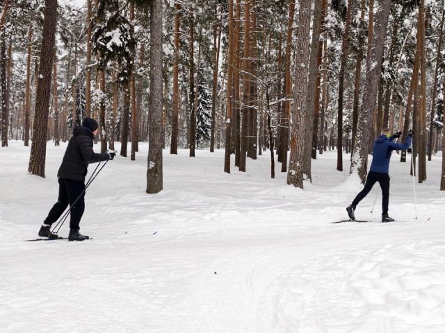 В лесопарке «Стрелки» Орехово-Зуева проложили лыжню