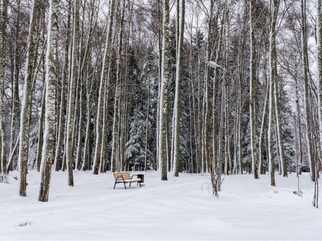 Морозы на выходных: синоптик объяснил, почему в Подмосковье снова будет аномально холодно