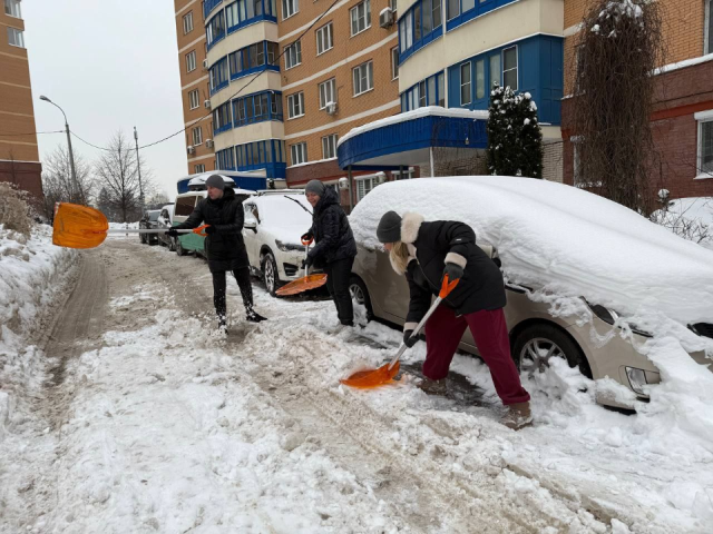 Эх, дружно: жители Красногорска вышли на зимний субботник