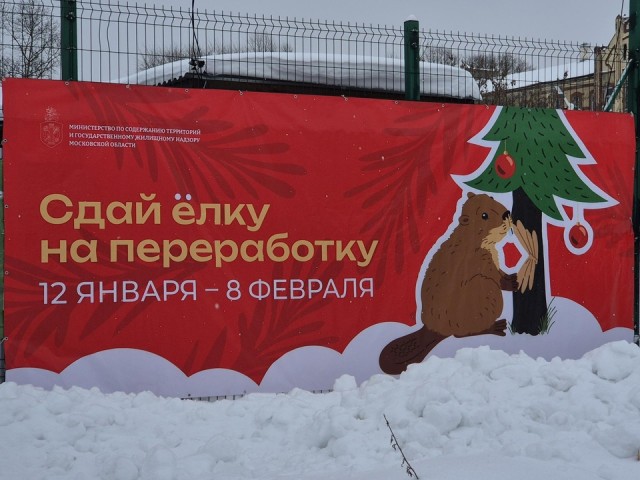 В Орехово-Зуевском округе продолжается акция «Сдай елку на переработку»