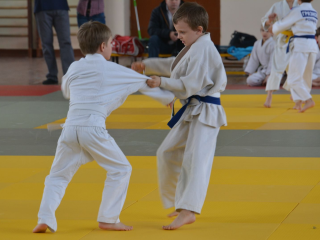 Дзюдоисты из Котельников завоевали две медали на первенстве Московской области