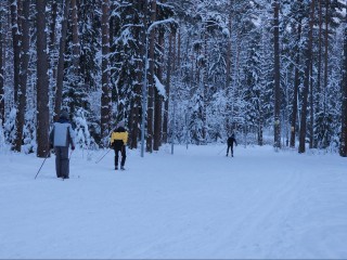 Стало известно, где в Егорьевске можно покататься на лыжах