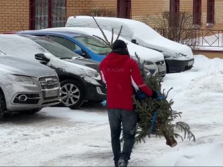 Как сдать новогоднюю елку на переработку в Подольске: правила подготовки и адреса площадок