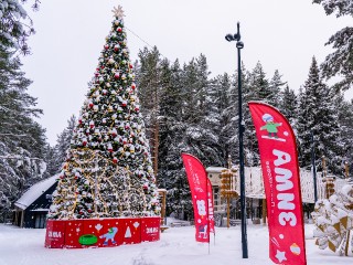 Елка из «Шишкиного леса» может стать лучшей в России