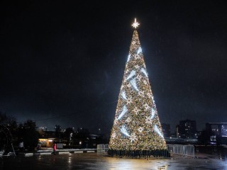 Новогодняя красавица из Дубны борется за победу в конкурсе «Елки России»