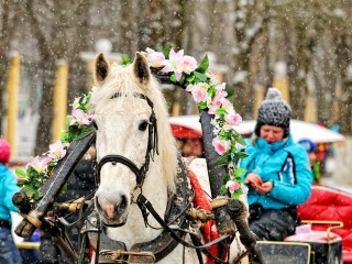 Куда пойти и что посмотреть 17 января в Серпухове