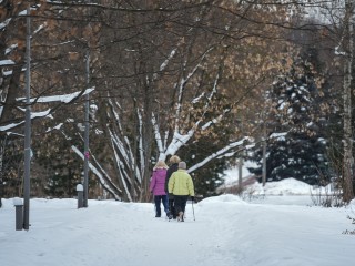 Скандинавской ходьбой и дыхательной гимнастикой займутся на «Бронницком лугу» 20 января
