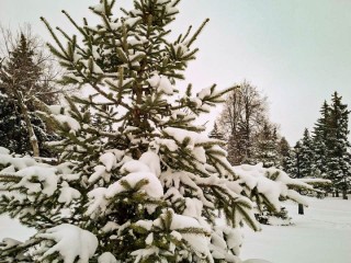 Синоптики спрогнозировали небольшой снег и до –12 градусов во вторник