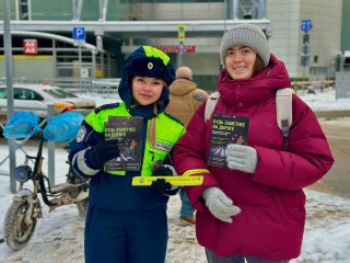 В Химках на неделю усилили контроль на пешеходных переходах