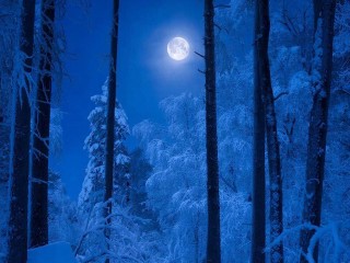 «Волчья Луна» в январе 2026 года: к чему готовиться и чего бояться в полнолуние