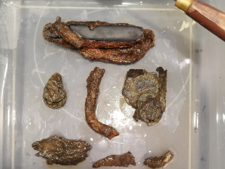 Электрогорские поисковики восстановили уникальный документ времен Отечественной войны