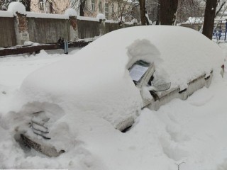 Хозяина снежной «брошенки» разыскивают в Коломне