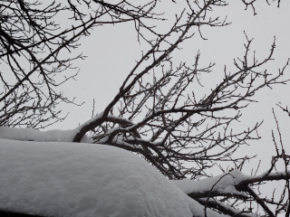 Крещенские морозы ударят в Подмосковье раньше: синоптик предупредил о -25 градусах к этой дате