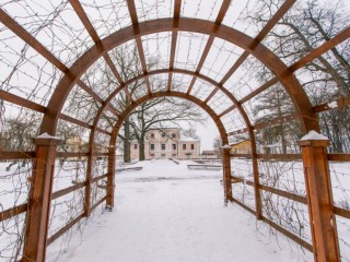 Куда пойти в Воскресенске на неделе: мастер-классы, экскурсии и игры для всей семьи в парках