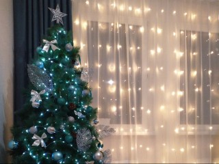 Вложил душу, а ее унесли: в Климовске ищут пожилого мужчину, укравшего авторскую елку