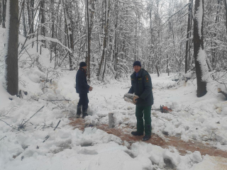 Зимняя операция завершена: территорию у пруда около деревни Танино очистили от валежника и сухостоя