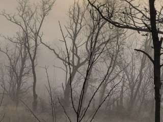 Последняя ночь разгула нечисти: почему 17 января наши предки избивали «черта» и боялись выходить из дома без чертополоха