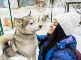 Айболиты остались без праздников: какие обращения поступали к ветеринарам Подмосковья от владельцев животных