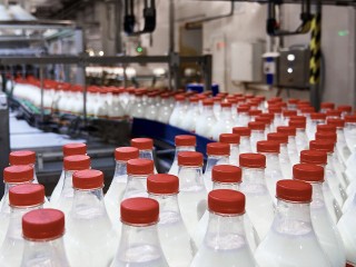 Заводы по производству муки и молочной продукции построят в Ступине