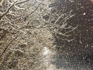 Готовьтесь к холоду: синоптики предупредили о морозах до −20°C в Подмосковье уже этой ночью