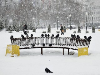 Снегопад на целую неделю: как выжить в январском Подмосковье