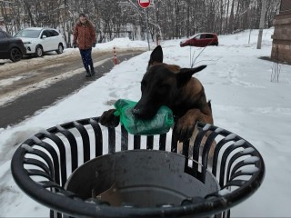 Пока люди сорят, он убирает: невероятная история Кинга из Раменского, которая заставит задуматься