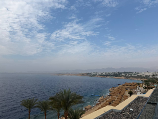 Побег от зимы-2026: Дубай или Шарм-эль-Шейх — где отдыхать выгоднее и теплее море?