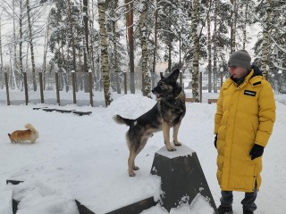 Кинолог высоко оценил новую площадку для выгула собак в Красноармейске