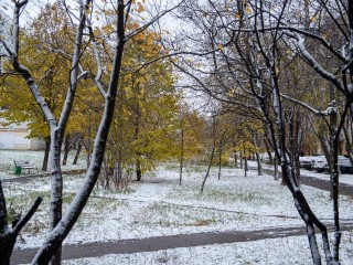 Ночью в Подмосковье похолодает до -17 градусов из-за циклона