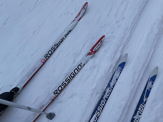 Лыжня для всех: как провести выходные с пользой в городском парке