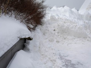 Где зима еще в силе: в каких округах Подмосковья самые высокие сугробы