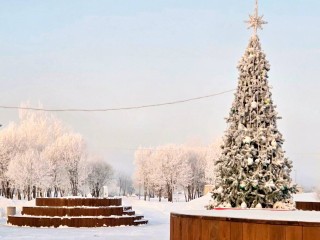 Концерт, спортивные квесты и чай: День студента отметят на «Бронницком лугу»