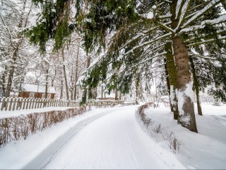 «Делаем то, что просят жители»: Воробьев — о том, как в подмосковных парках появляются лыжни и катки