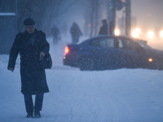 Подмосковье завалит снегом: метель и сугробы до 50 см принесет циклон «Фрэнсис» 8 января