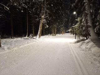 Лыжню в «Соколиной горе» удлинили вдвое: теперь можно проехать 3 км по лесу