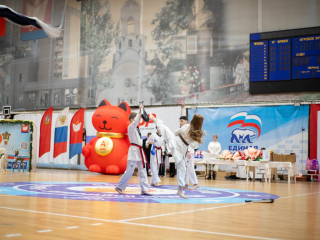 Кудоисты и дзюдоисты обменялись опытом на сборе в Шаховской