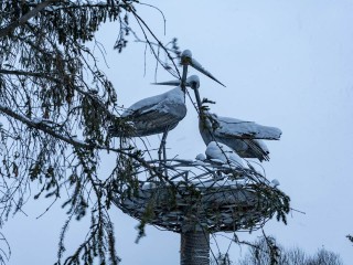 Магнитная буря сегодня, 19 января 2026: мощный выброс солнечной плазмы от вспышки X1.95 - когда метеочувствительным ждать удара