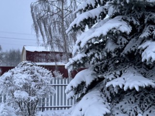 За сутки как за месяц: как юг Подмосковья стал лидером по снегопаду