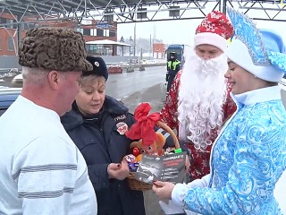 Патруль с мандаринами: как полицейский Дед Мороз поздравлял водителей на М-4