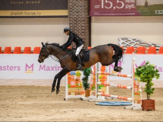 Жителей Истры пригласили бесплатно посмотреть зрелищный турнир по конкуру