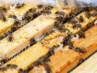 Народные приметы 17 января 2026: что можно и чего нельзя сегодня