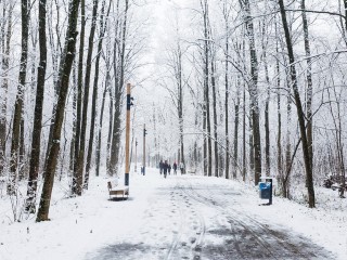 Снег будет идти двое суток: сугробы до полуметра при температуре –10 °C ожидаются в Подмосковье