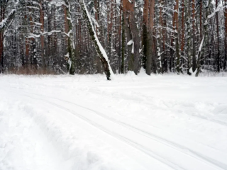 Лыжные трассы в Котельниках: где кататься зимой и какая дистанция самая длинная